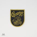 Capricórnio