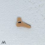 Ortoprotesia
